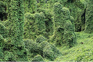 《生化危机3：重制版》大幅更新在即 或推全新版本